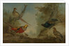 Pheasants by Aert Schouman