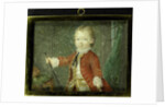Willem V by Robert Mussard