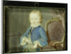 Willem V by Robert Mussard