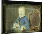 Willem V by Robert Mussard