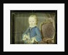 Willem V by Robert Mussard