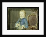 Willem V by Robert Mussard