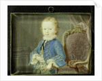 Willem V by Robert Mussard