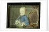 Willem V by Robert Mussard