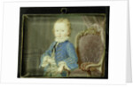 Willem V by Robert Mussard