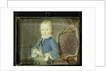 Willem V by Robert Mussard