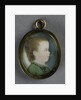 Willem George Frederik by Pieter Lesage