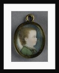 Willem George Frederik by Pieter Lesage