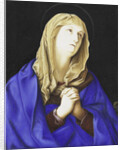 Madonna by Anonymous