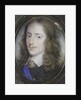 Willem II, 1626-50, Prince of Orange by Anonymous