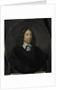 Portrait of Johan de Vries by Pieter van der Werff