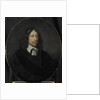 Portrait of Johan de Vries by Pieter van der Werff