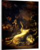 A Monkey and a Dog with Dead Game and Fruit by Jan Weenix