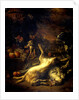 A Monkey and a Dog with Dead Game and Fruit by Jan Weenix