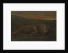 Sleeping Lion by night by John Macallan Swan