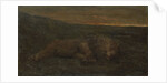 Sleeping Lion by night by John Macallan Swan