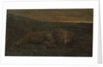 Sleeping Lion by night by John Macallan Swan