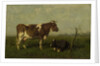 A cow with her calf in a meadow by Jan Vrolijk