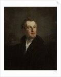 Portrait of Arthur Wellesley, Duke of Wellington by Jan Willem Pieneman