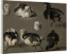 Seven Chicks by Melchior d' Hondecoeter