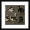 Seven Chicks by Melchior d' Hondecoeter
