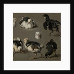Seven Chicks by Melchior d' Hondecoeter