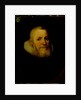 Portrait of a man of the Rijswijck or Van Rijswijk family by Anonymous