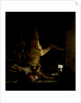 A Dog and a Cat near a partially disembowelled Deer by Jan Baptist Weenix