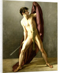 Warrior with Sword Drawn by Joannes Echarius Carolus Alberti