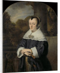 Portrait of Maria Rey, Wife of Roelof Meulenaer by Ferdinand Bol
