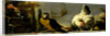 Birds on a Balustrade by Melchior d' Hondecoeter