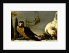 Birds on a Balustrade by Melchior d' Hondecoeter