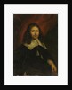 Portrait of Dionijs Wijnands, Merchant in Amsterdam by Jan van Noordt
