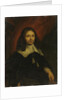 Portrait of Dionijs Wijnands, Merchant in Amsterdam by Jan van Noordt