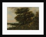 Wooded Landscape by Anthonie Waterloo