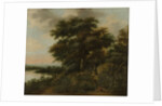 Wooded Landscape by Anthonie Waterloo