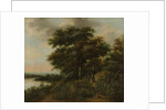 Wooded Landscape by Anthonie Waterloo