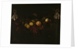 A Garland of Fruit by Johannes Borman