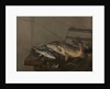 Still life with fish by Pieter van Noort