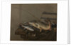 Still life with fish by Pieter van Noort
