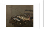 Still life with fish by Pieter van Noort