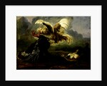 Fighting Birds by Anonymous