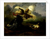 Fighting Birds by Anonymous