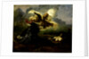 Fighting Birds by Anonymous