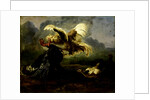 Fighting Birds by Anonymous