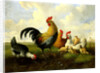 A rooster with hens and chicks by Albertus Verhoesen