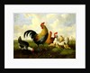 A rooster with hens and chicks by Albertus Verhoesen