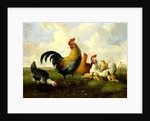 A rooster with hens and chicks by Albertus Verhoesen