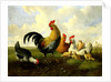 A rooster with hens and chicks by Albertus Verhoesen