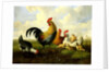 A rooster with hens and chicks by Albertus Verhoesen